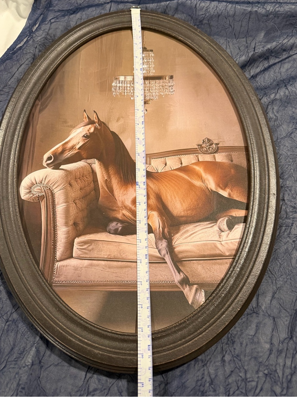 Oval Black Framed Horse Wall Art - Picture 4 of 5